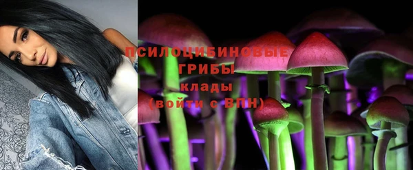 а пвп мука Каменногорск