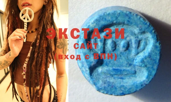 тгк Каменка