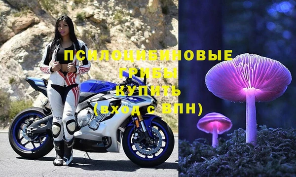тгк Каменка