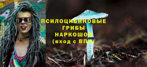 гидра Каменск-Шахтинский
