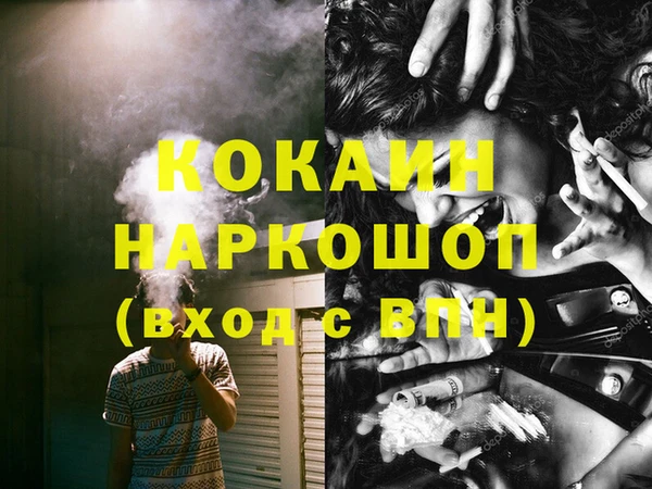 тгк Каменка