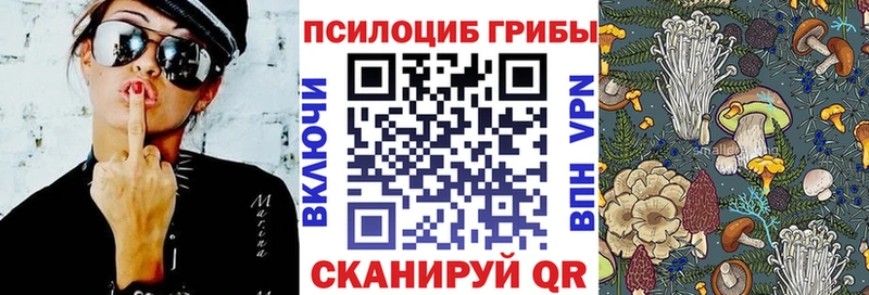 Галлюциногенные грибы прущие грибы  купить закладку  площадка состав  Нижнеудинск 