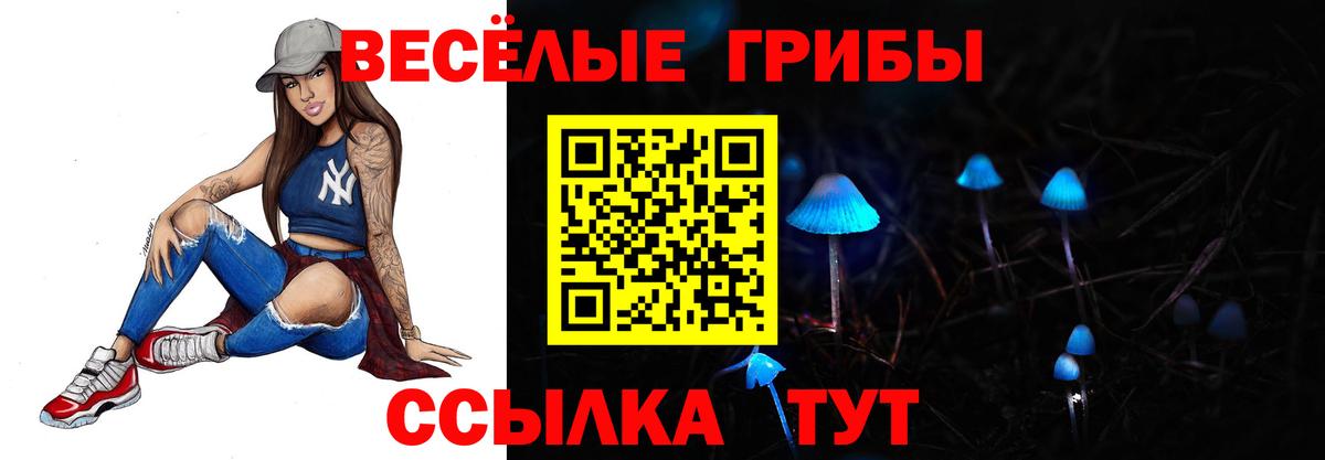 Галлюциногенные грибы Psilocybe Нижнеудинск